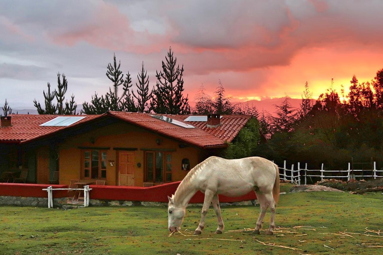 The Lazy Dog Inn A Mountain Lodge هواراس المظهر الخارجي الصورة