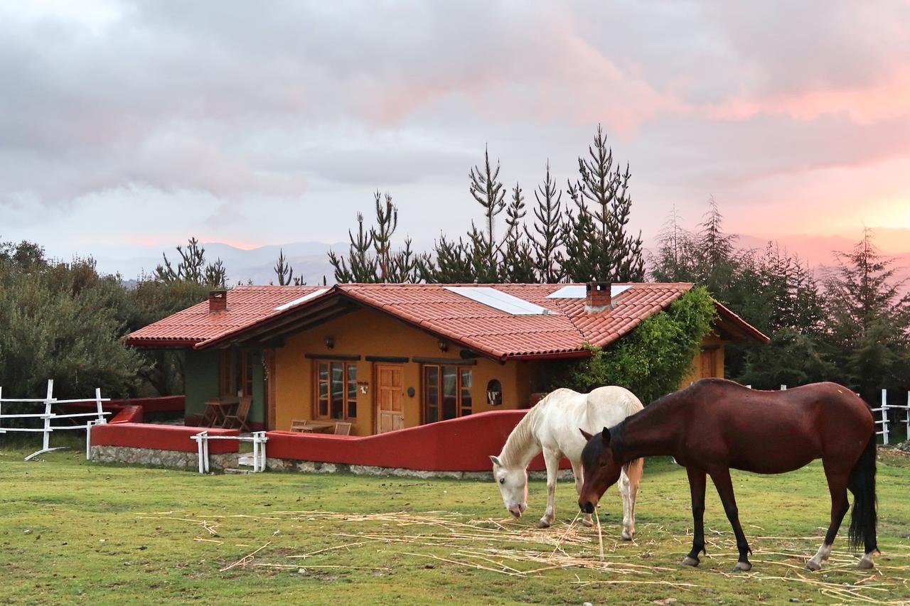 The Lazy Dog Inn A Mountain Lodge هواراس المظهر الخارجي الصورة