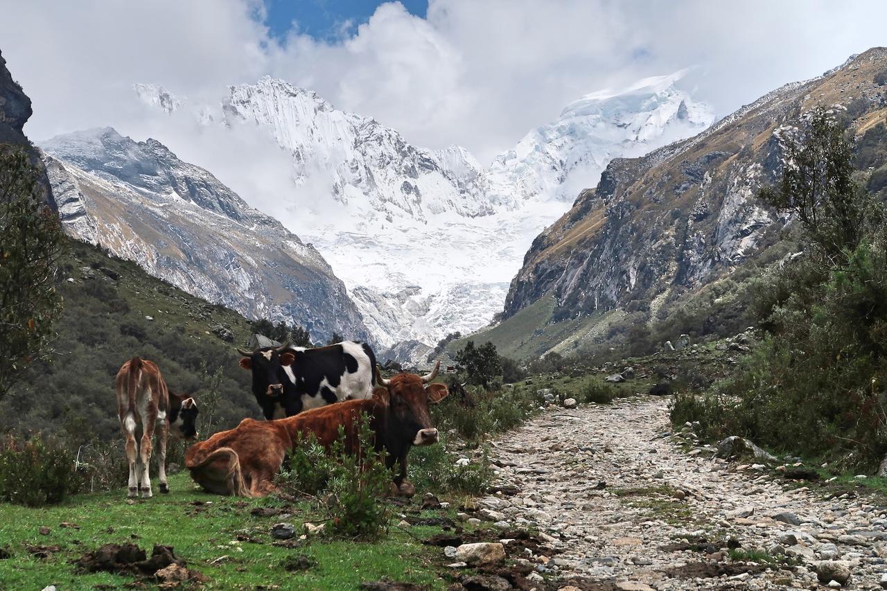The Lazy Dog Inn A Mountain Lodge هواراس المظهر الخارجي الصورة